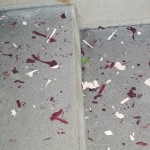 Failing paint scraped from just one wood-clad window and wood siding